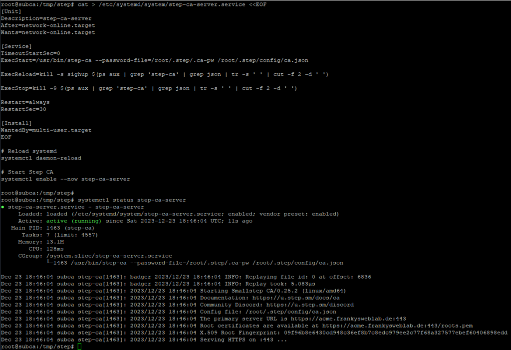 Step CA als Deamon konfigurieren